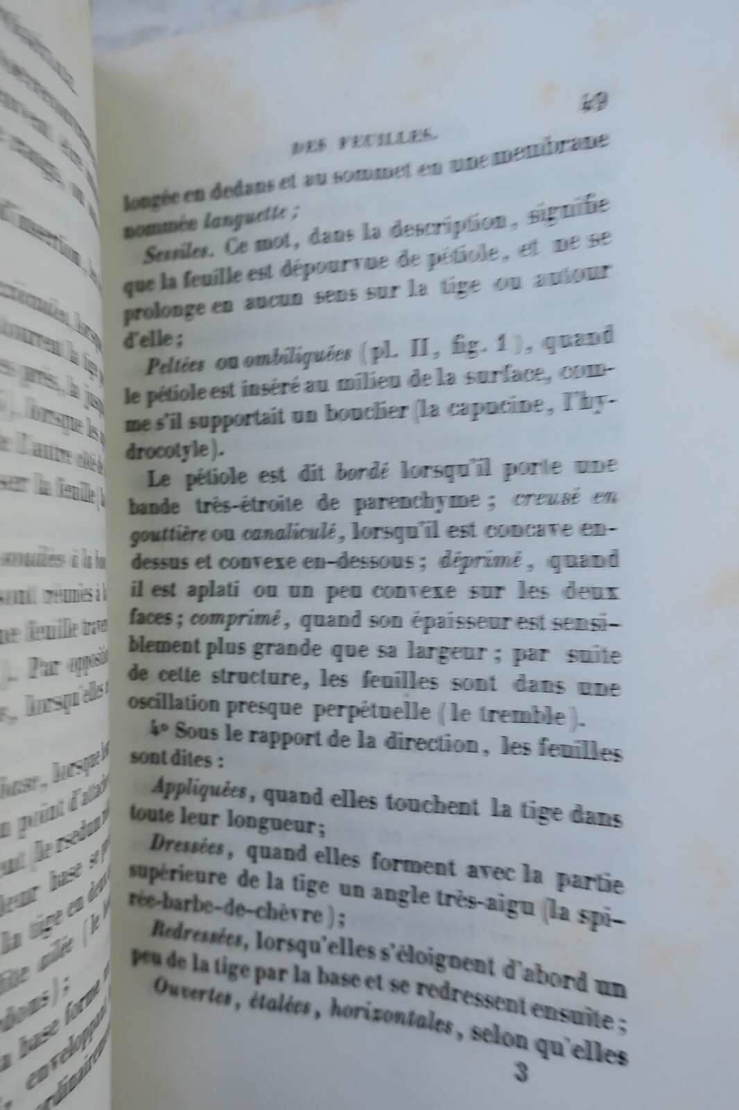 Botanical Lessons for Young Readers 1840 - Image 9