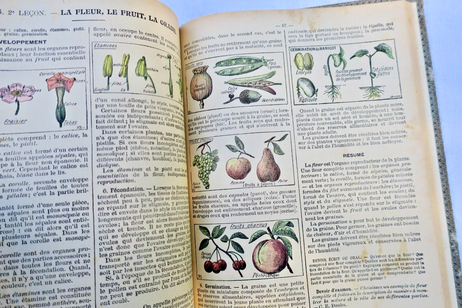 Lessons on Physics and Natural Sciences - Image 4