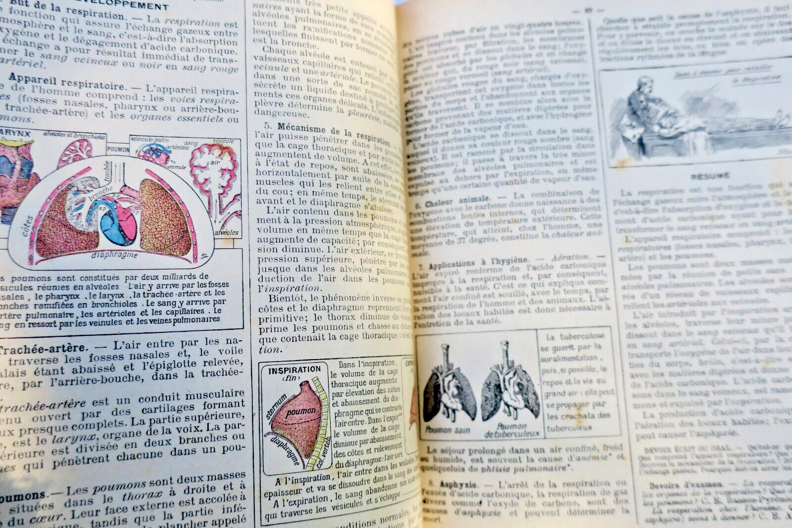 Lessons on Physics and Natural Sciences - Image 6