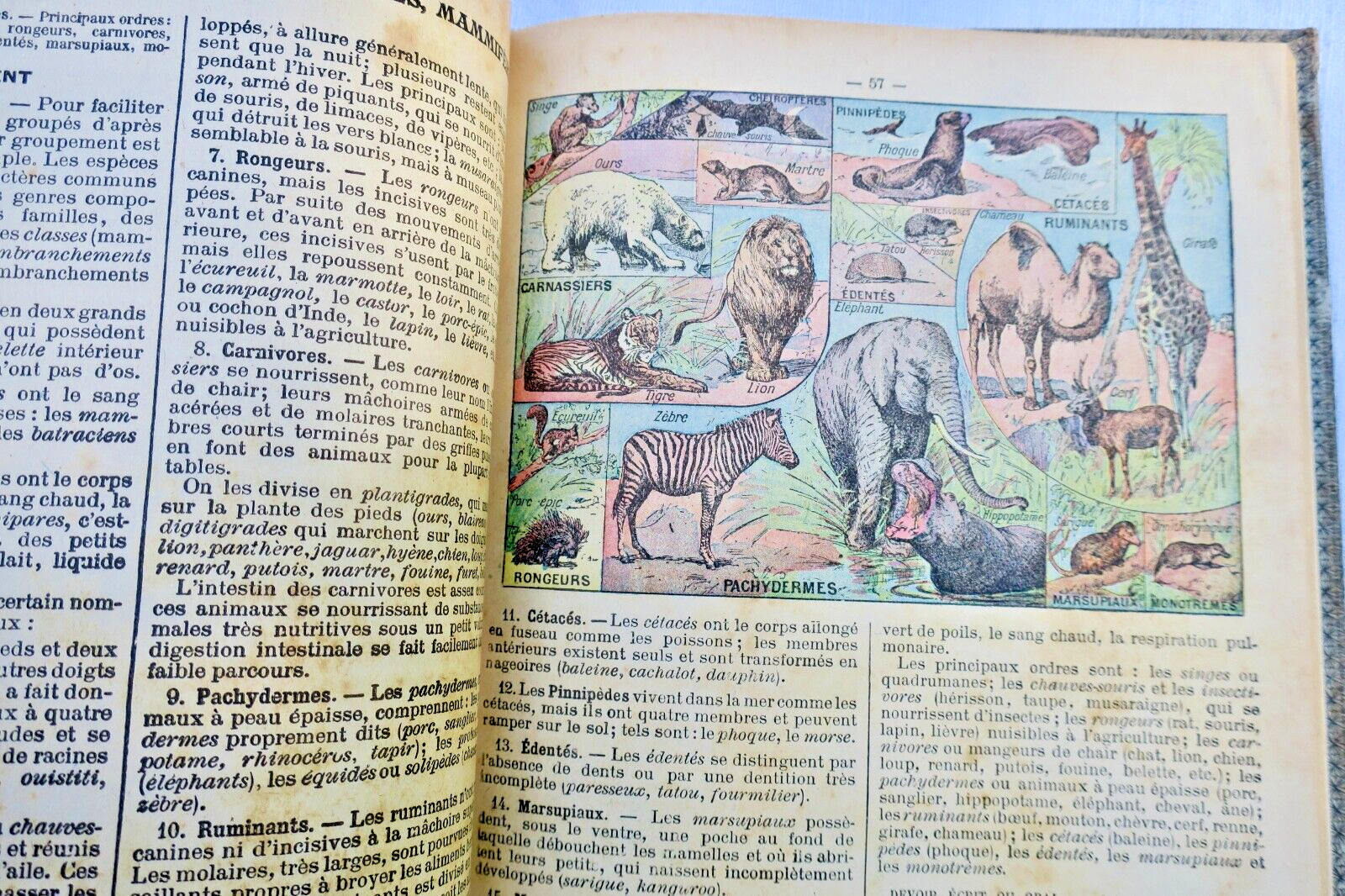 LECONS DE SCIENCES. PHYSIQUES ET NATURELLES... – Image 16