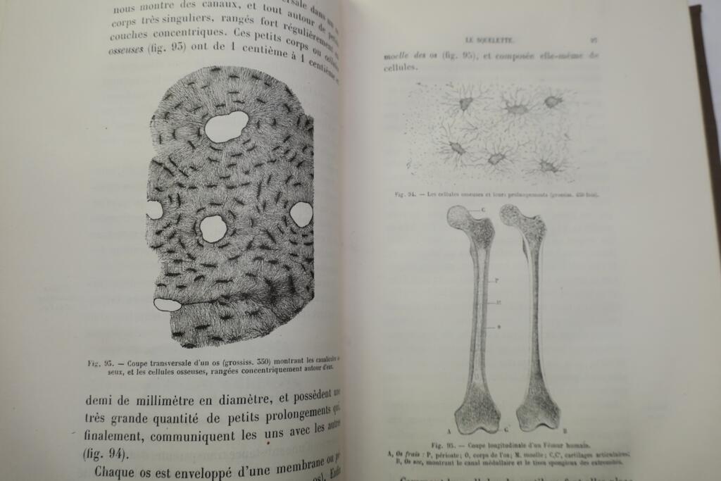 LEÇONS DE ZOOLOGIE Enseignement secondaire des jeunes filles. 1881
