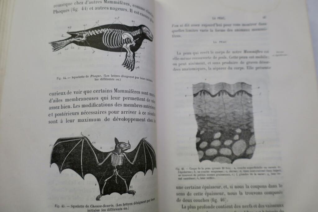 LEÇONS DE ZOOLOGIE Enseignement secondaire des jeunes filles. 1881