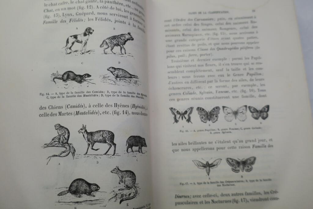 LEÇONS DE ZOOLOGIE Enseignement secondaire des jeunes filles. 1881