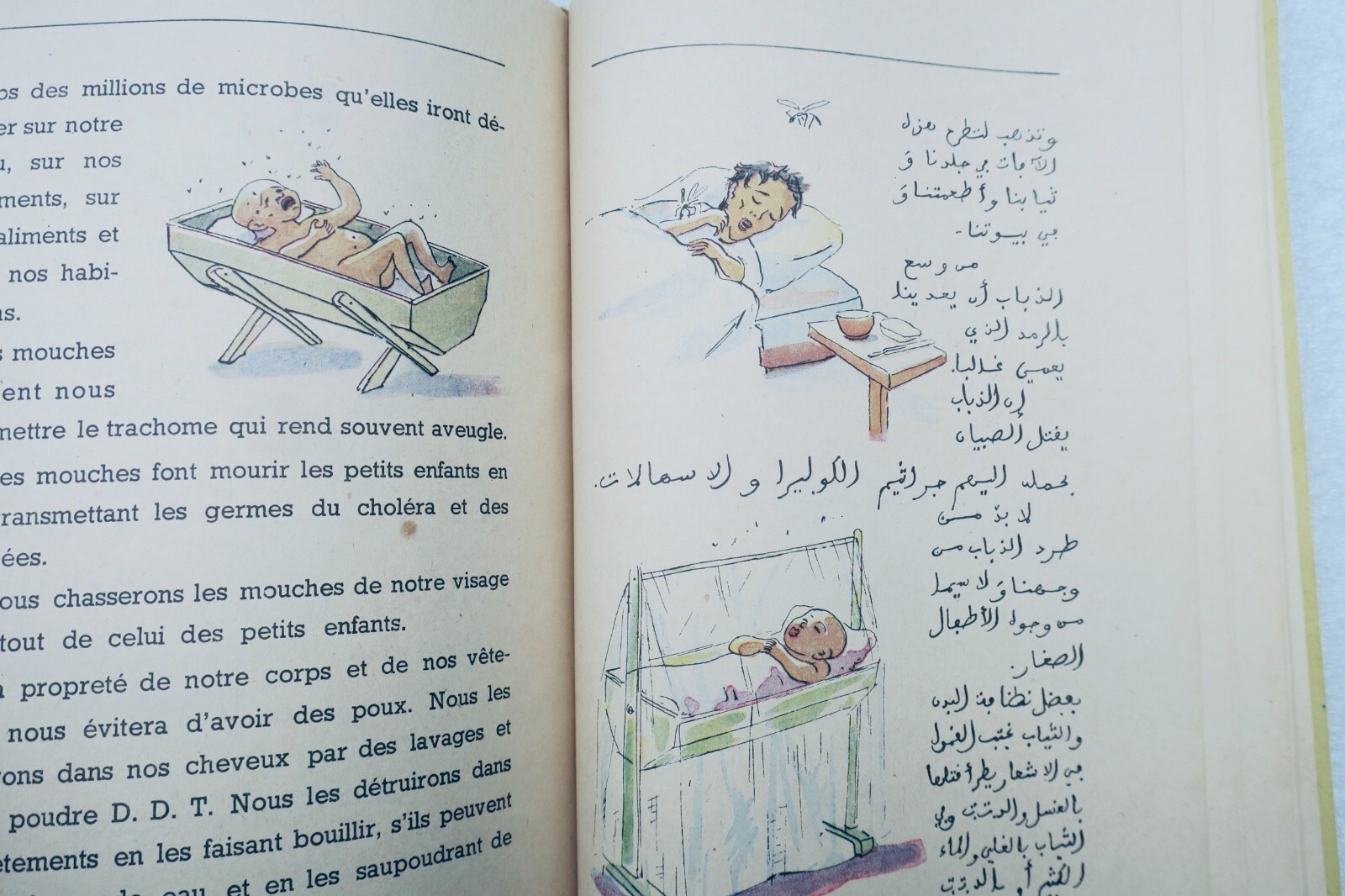 イスラム学校向け衛生講座(仏・アラビア語版) - Image 4