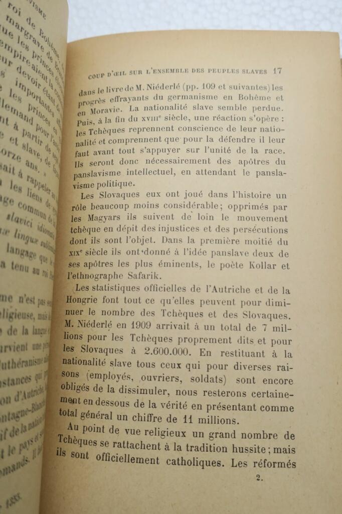 Pan-Slavism and French interests