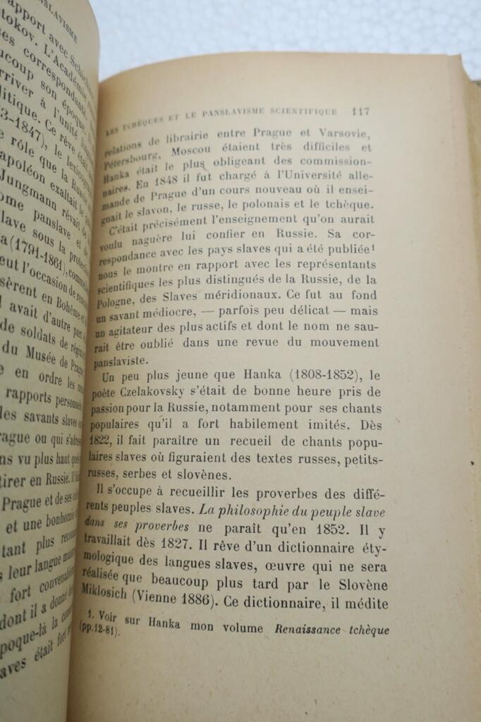 Pan-Slavism and French interests
