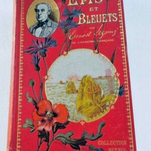 Legouvé Ernest Epis et bleuets souvenirs biographiques HETZEL