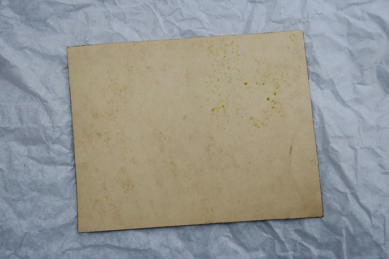 Literarische Studien und Porträts zeitgenössischer Autoren - Image 3
