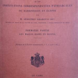 Les Maglis hasby et les institutions correspondantes patriarcales ou rabbiniq...