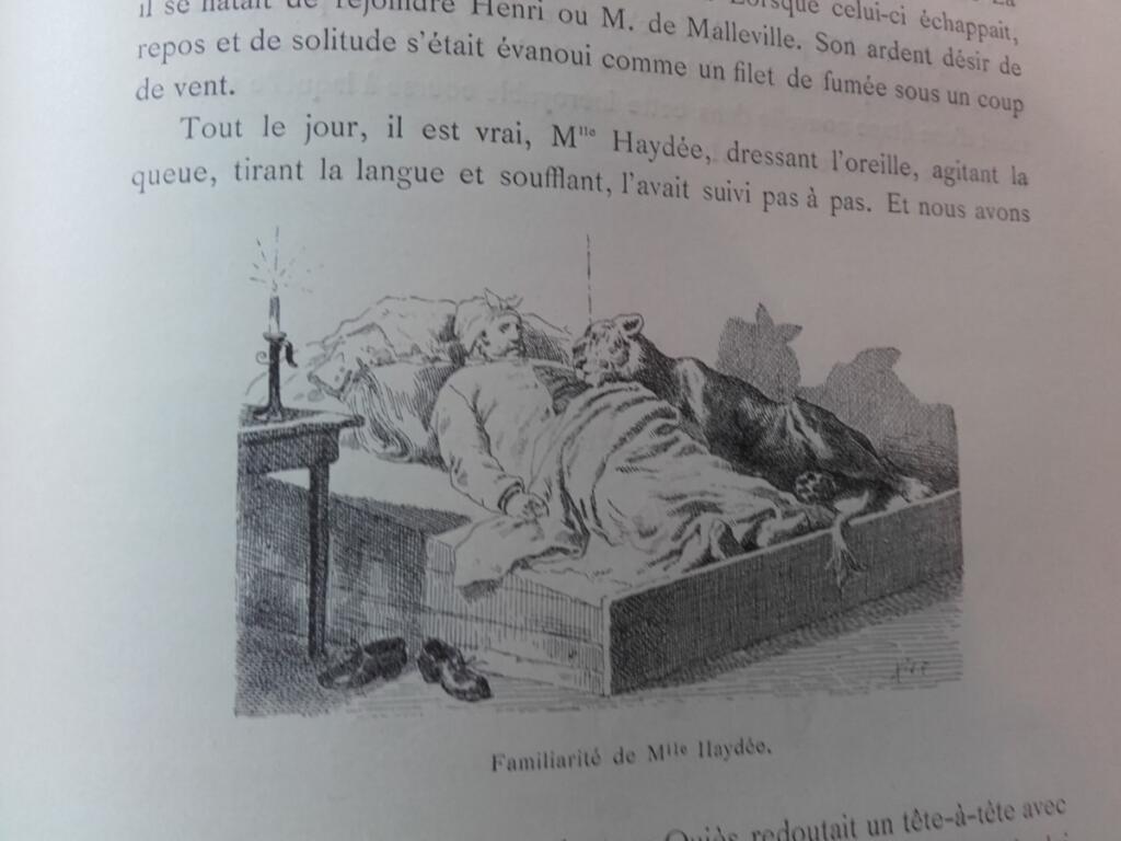 Außergewöhnliche Abenteuer des Dr. J.-B. Quiès