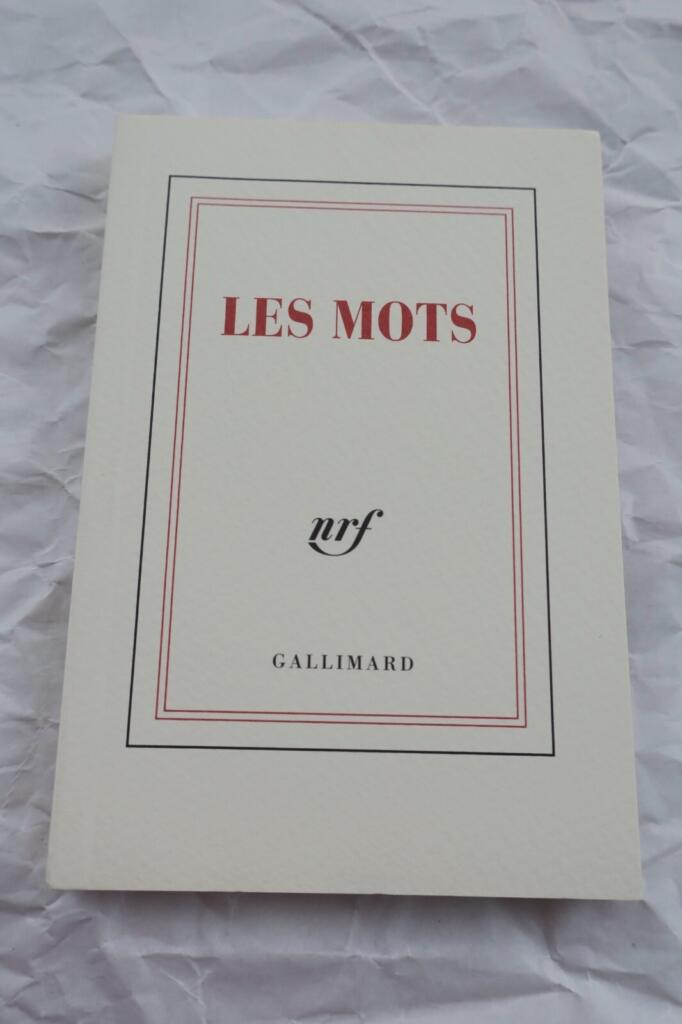 Autobiographical work by SARTRE