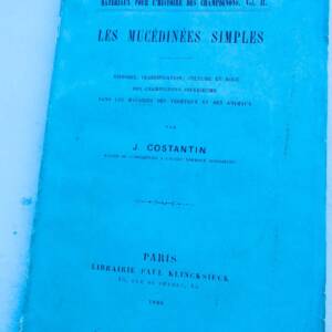 Simple Fungi: History and Classification