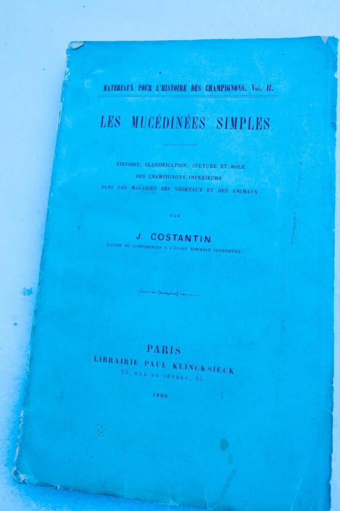 Einfache Pilze: Geschichte und Klassifizierung