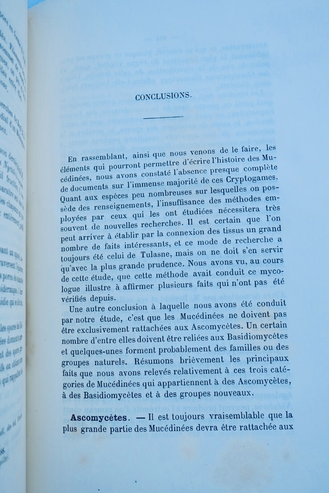 Simple Fungi: History and Classification<span class="lla-card-orig-wrap"><span class="lla-card-orig">❦ Les Mucédinées Simples Pour L’histoire Des Champignons, 1888 – Les Mucédinées</span></span> - La Librairie Antique