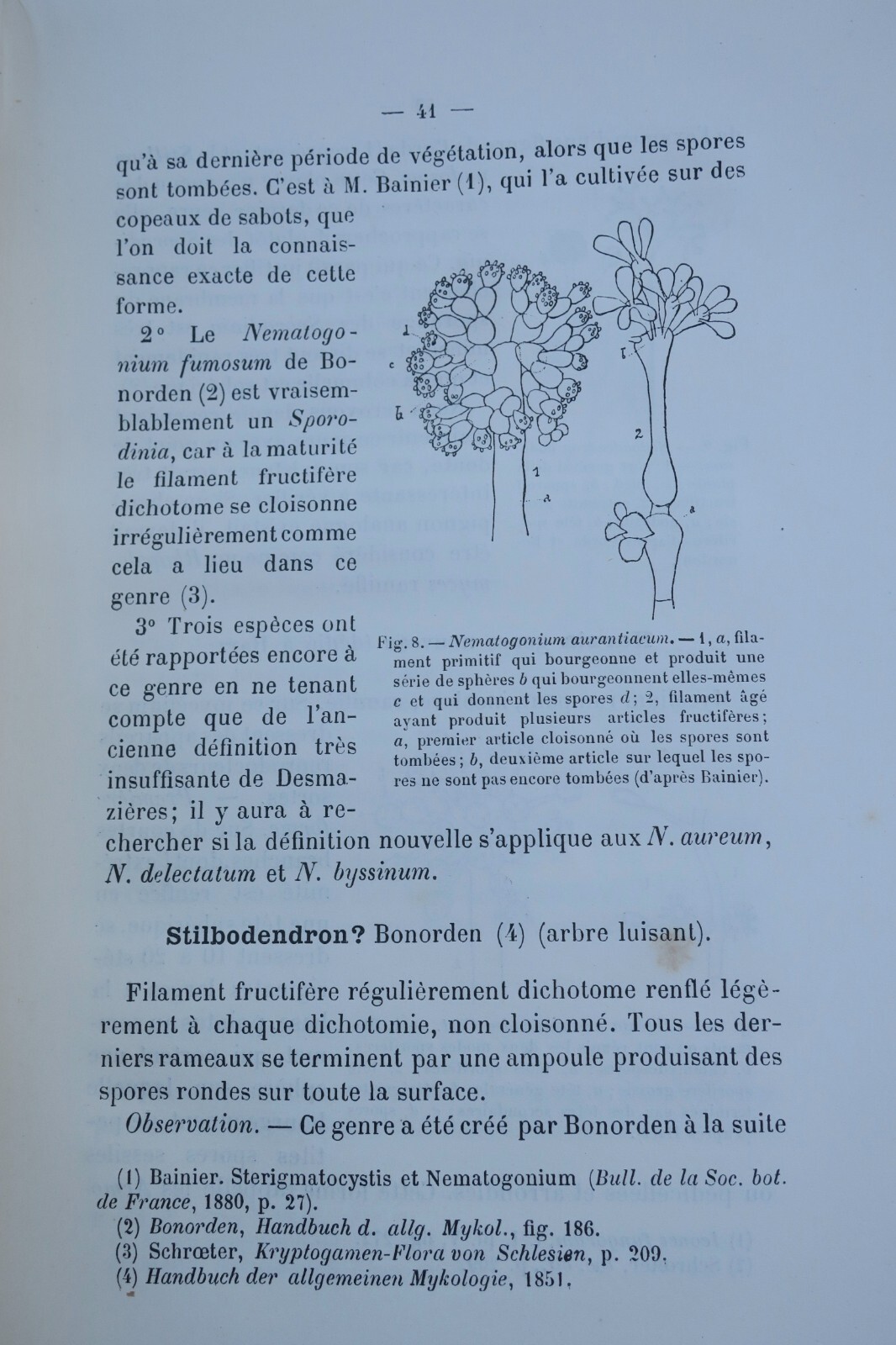 Simple Fungi: History and Classification - Image 6