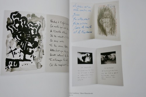 Die Schätze bescheidener Literatur - Image 9