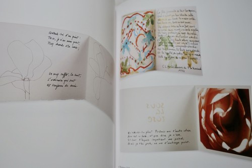 Die Schätze bescheidener Literatur - Image 5