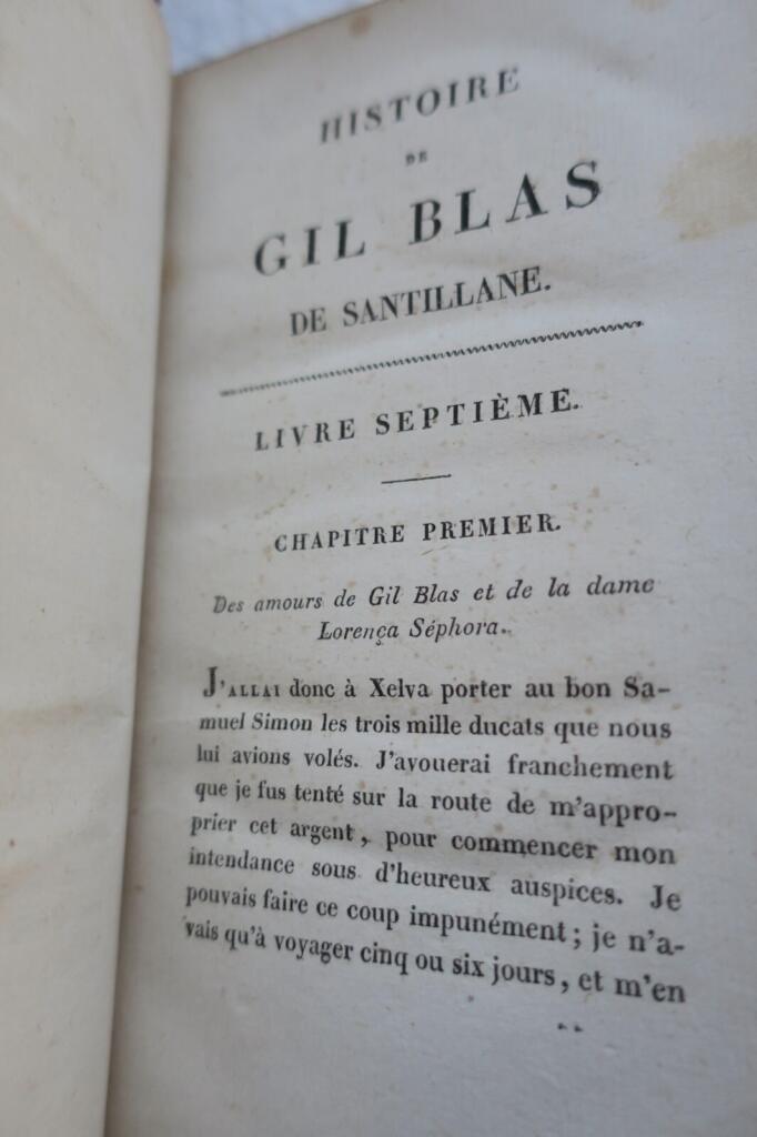 Spanish Rogue's Adventures and Fortunes