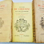 Libourne Histoire de Libourne , villes et bourgs de son arrondissement 1876