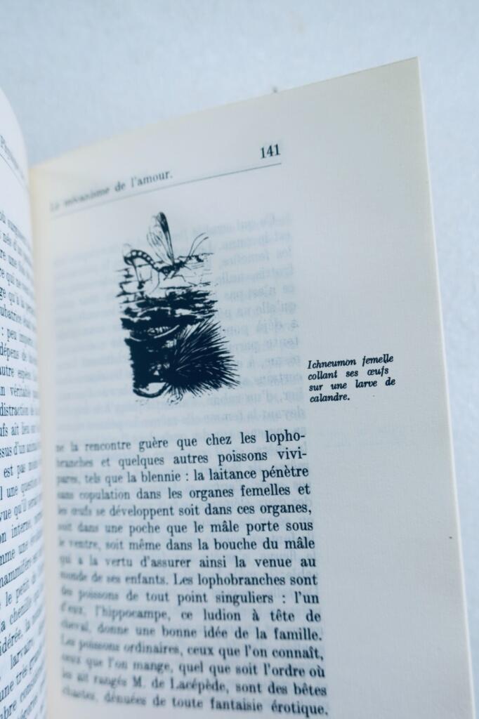 Aphorismen und Mimen der Kurtisanen