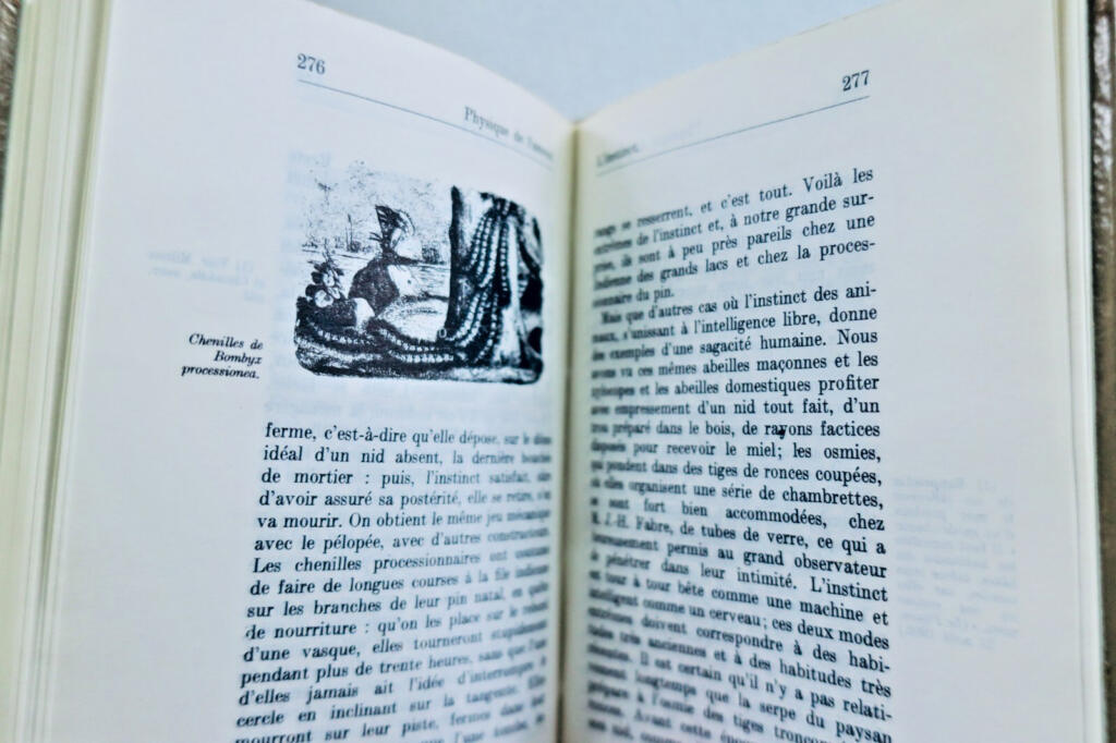 Aphorismen und Mimen der Kurtisanen