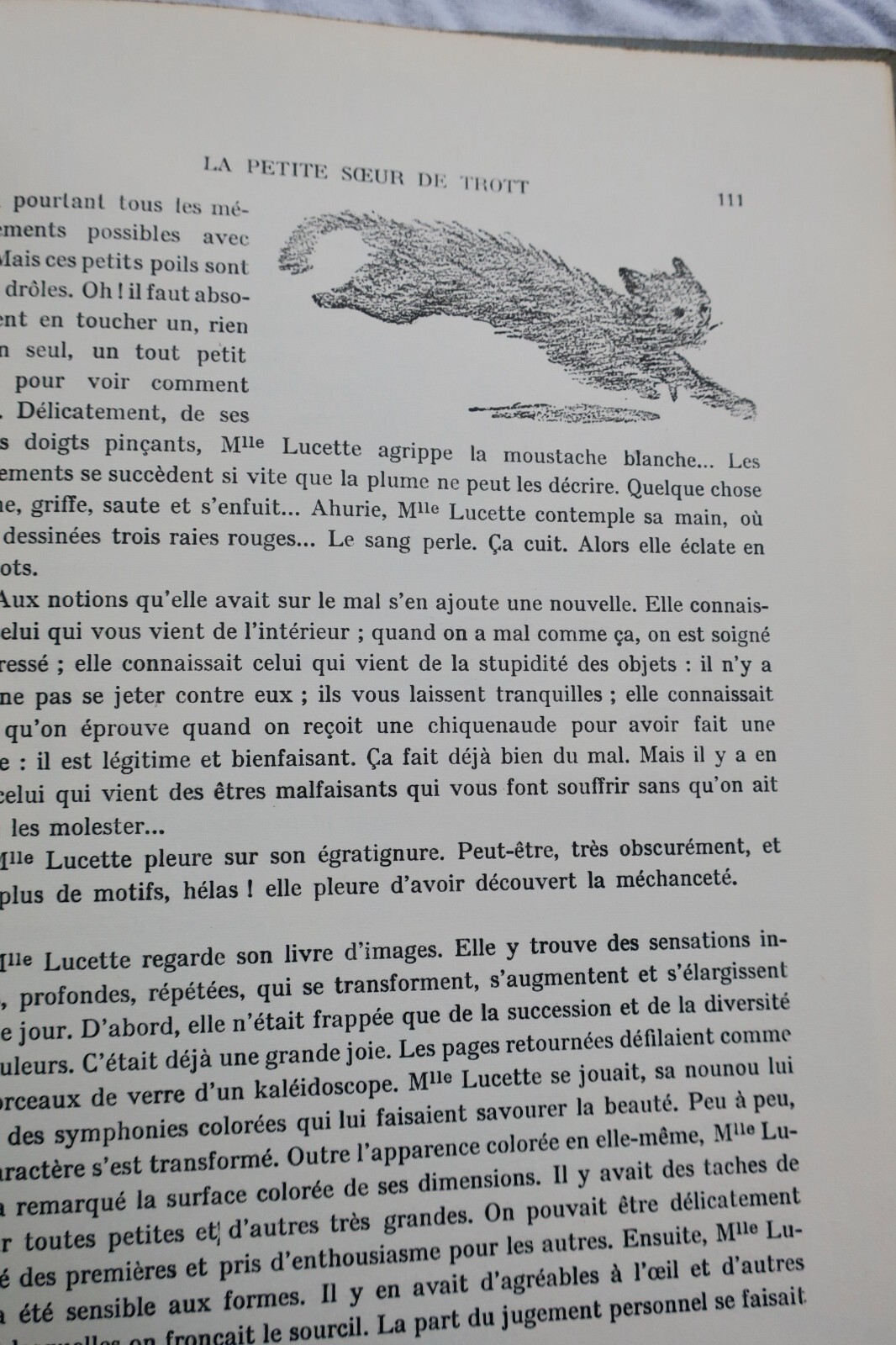 LICHTENBERGER LA PETITE SOEUR DE TROTT – Image 5