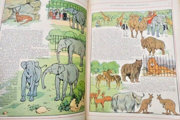 LICHTENBERGER L&rsquo;Eléphant Houndji-Poundji