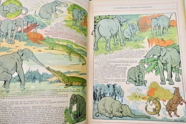 LICHTENBERGER L&rsquo;Eléphant Houndji-Poundji