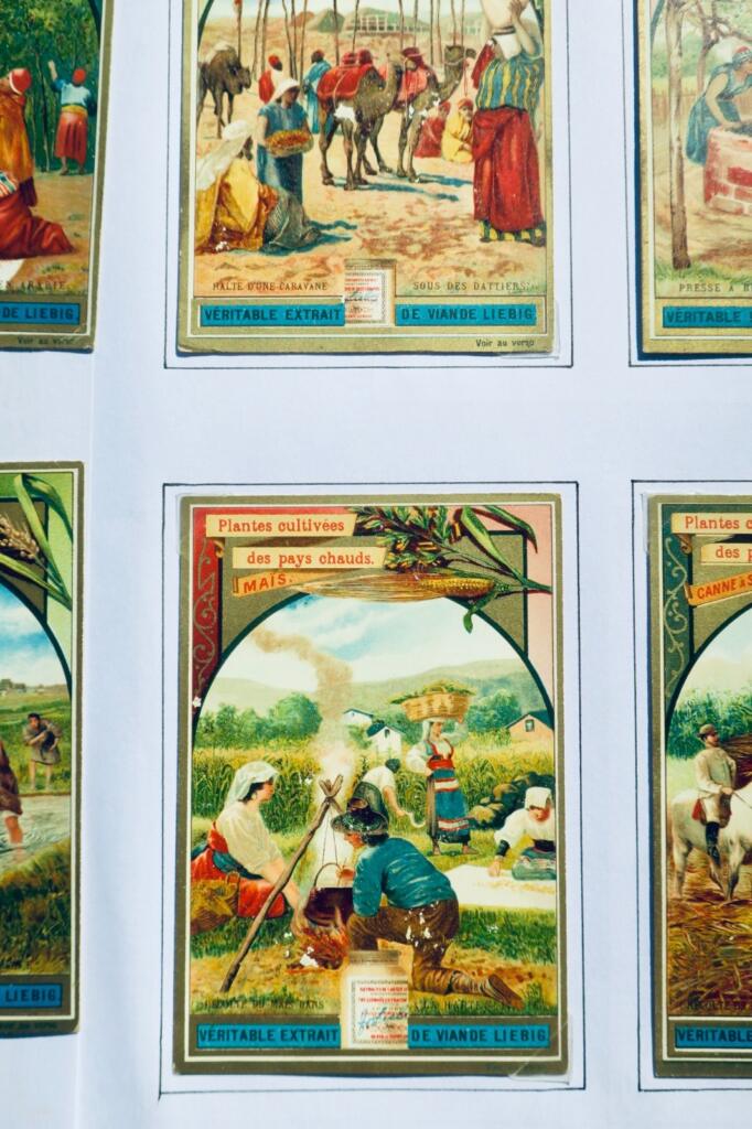 Liebig 6 chromos Liebig : Plantes cultivées des pays chauds (série complète)