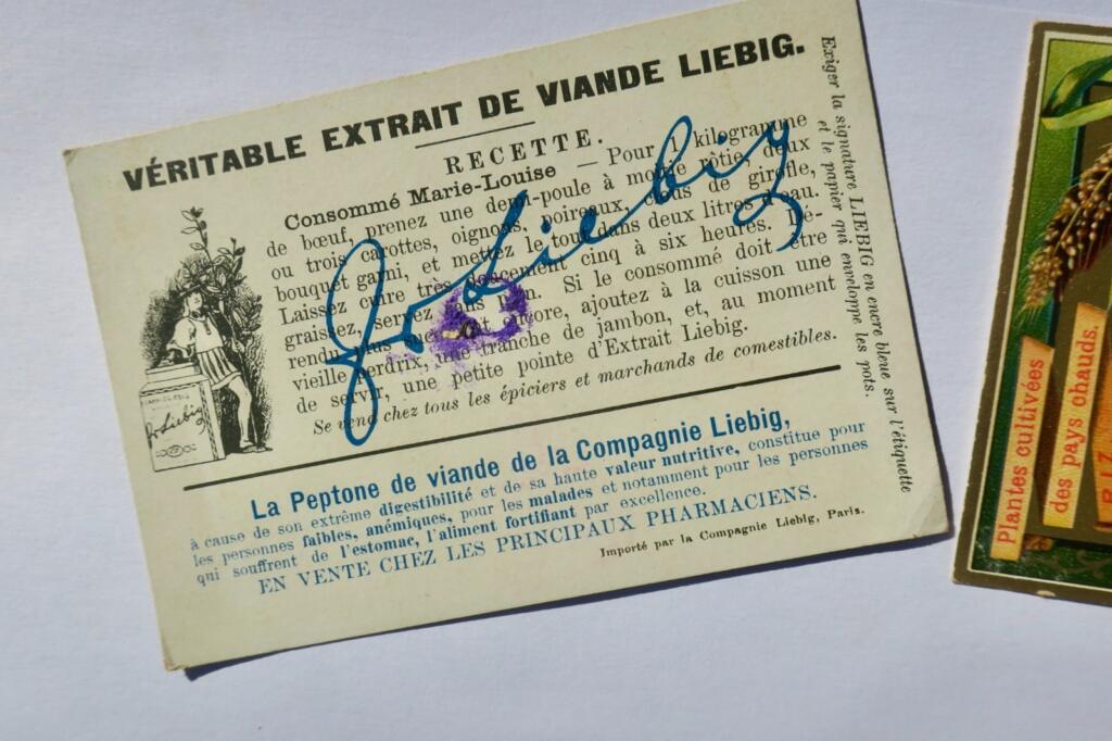 Liebig 6 chromos Liebig : Plantes cultivées des pays chauds (série complète)