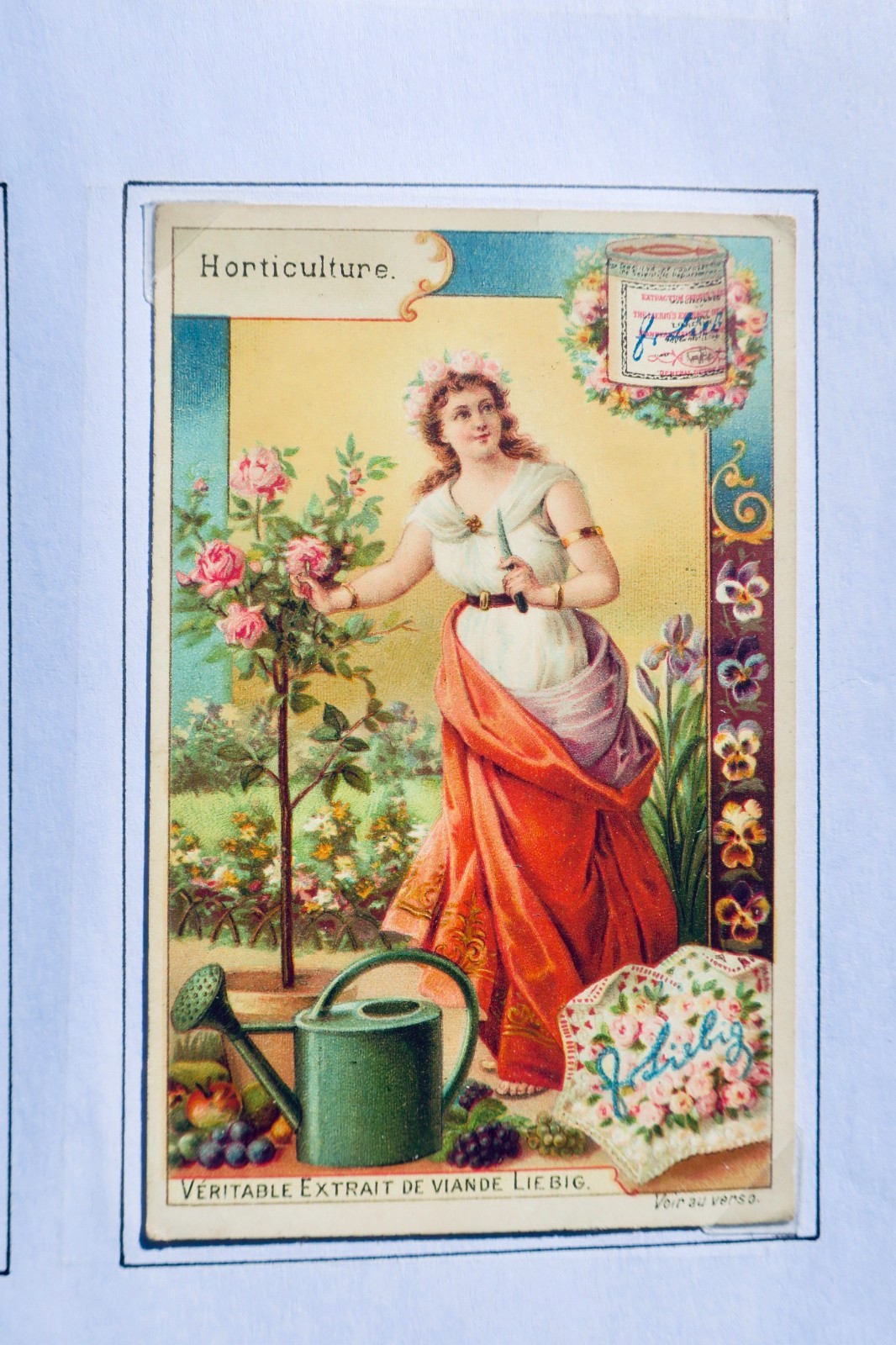 Liebig art de la teinture, horticulture, peinture sur verre, art graphique… - La Librairie Antique