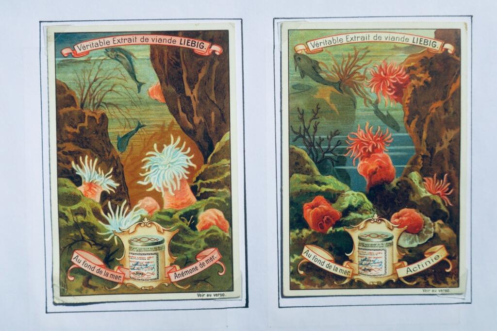 LIEBIG Au fond de la mer
