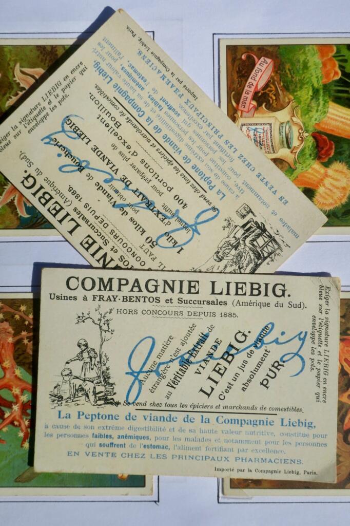 LIEBIG Au fond de la mer