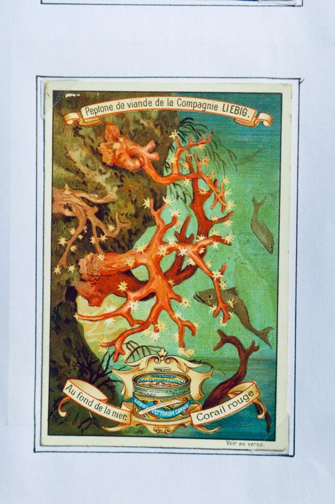 LIEBIG Au fond de la mer