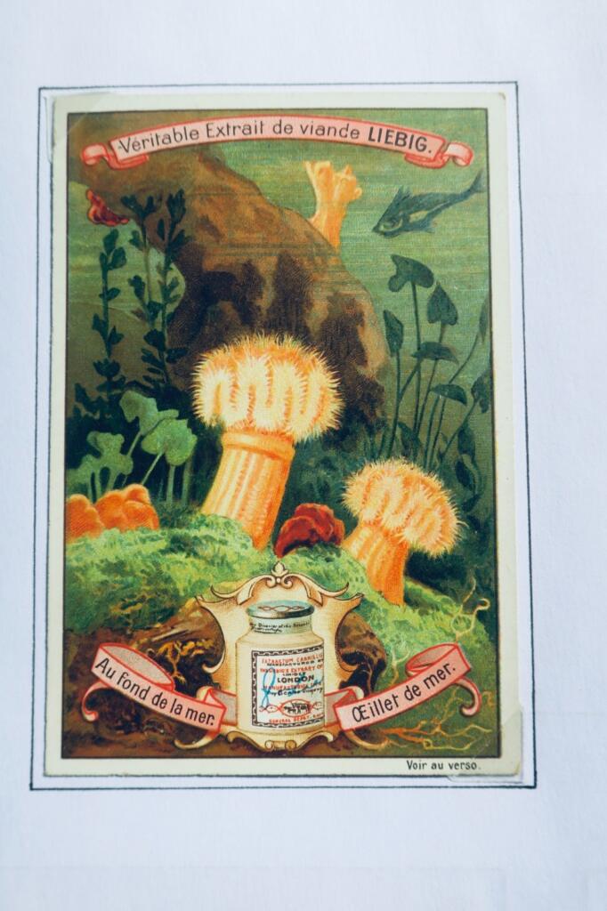 LIEBIG Au fond de la mer