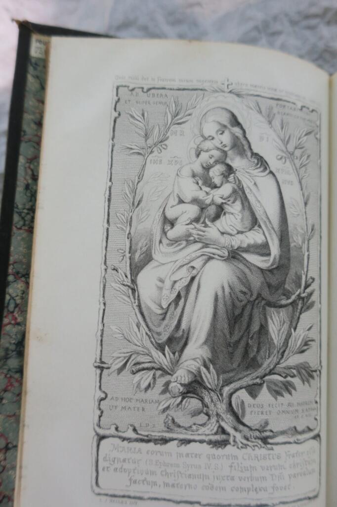 Marienverehrung mit Salve Regina Paraphrase