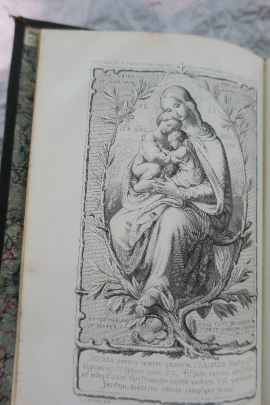 Marian Glories with Salve Regina Paraphrase - Image 4