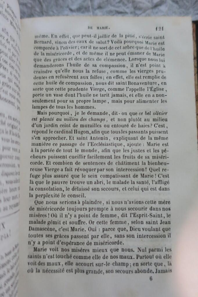Marienverehrung mit Salve Regina Paraphrase