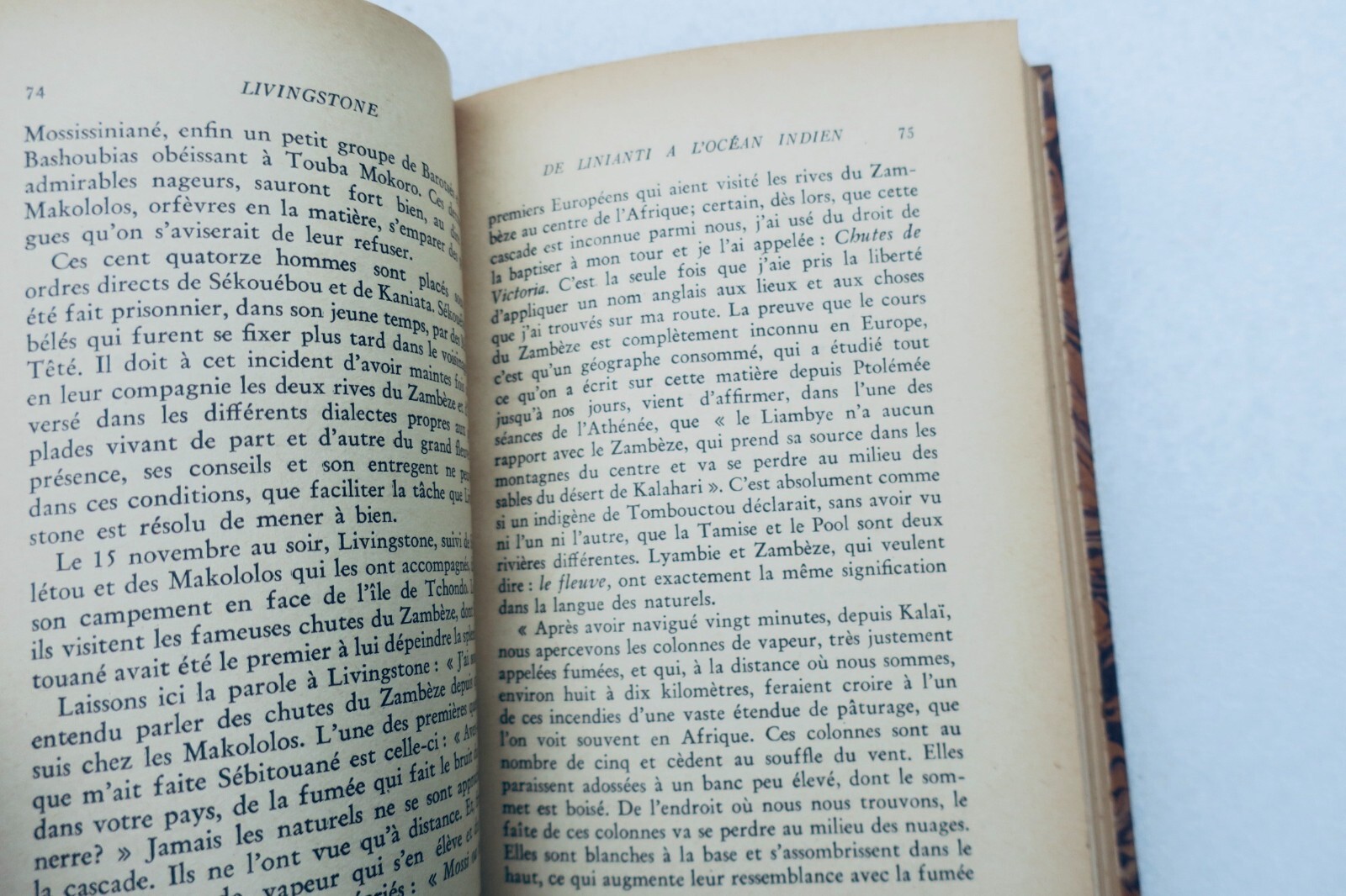 Livingstone et l'exploration de l'Afrique – Image 3