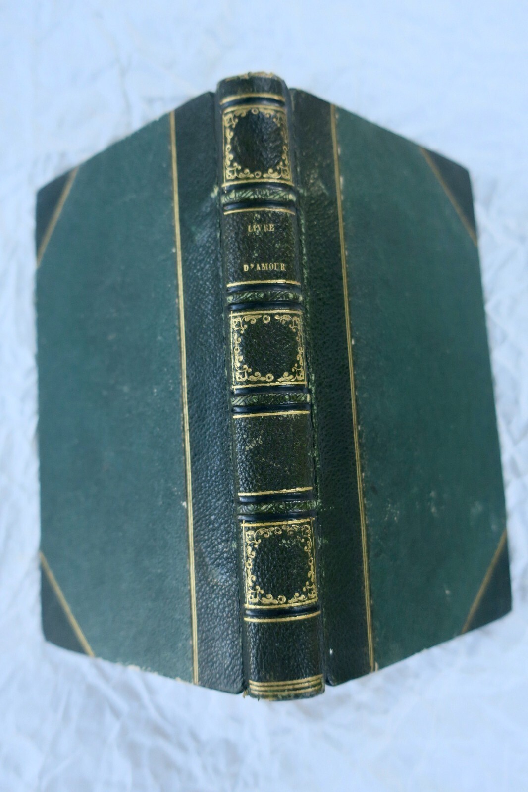 Livre d'amour ou Folastreries du vieux temps – Image 7