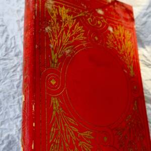 LIVRE DELON C. HISTOIRE D UN LIVRE 1884