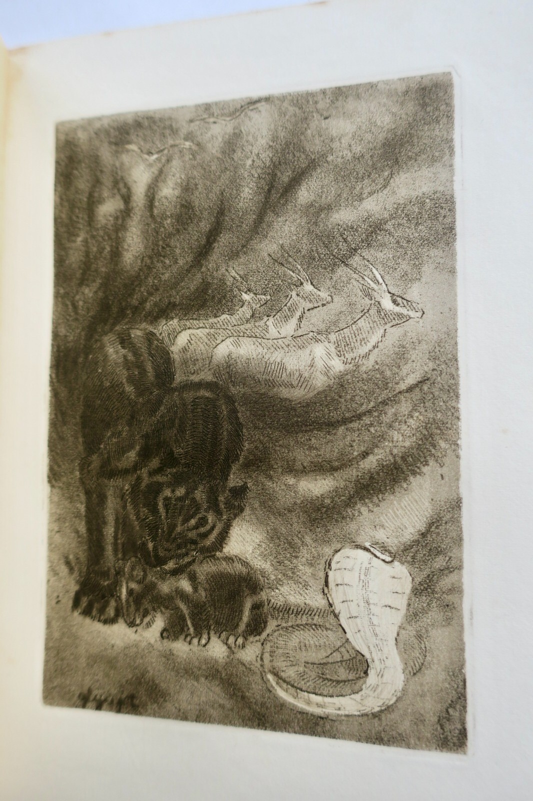 Das Buch der wilden Tiere - Image 3