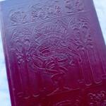 ヴァン・ドリーステン細密画家による子ども向け冊子
