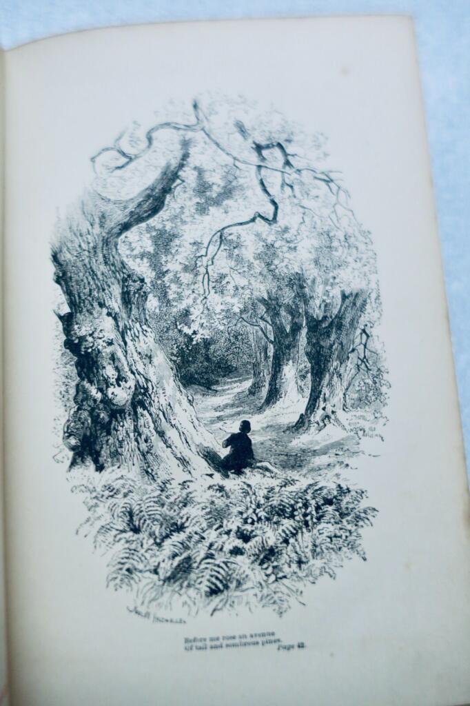 Complete Poetry Collection - Longfellow 1881