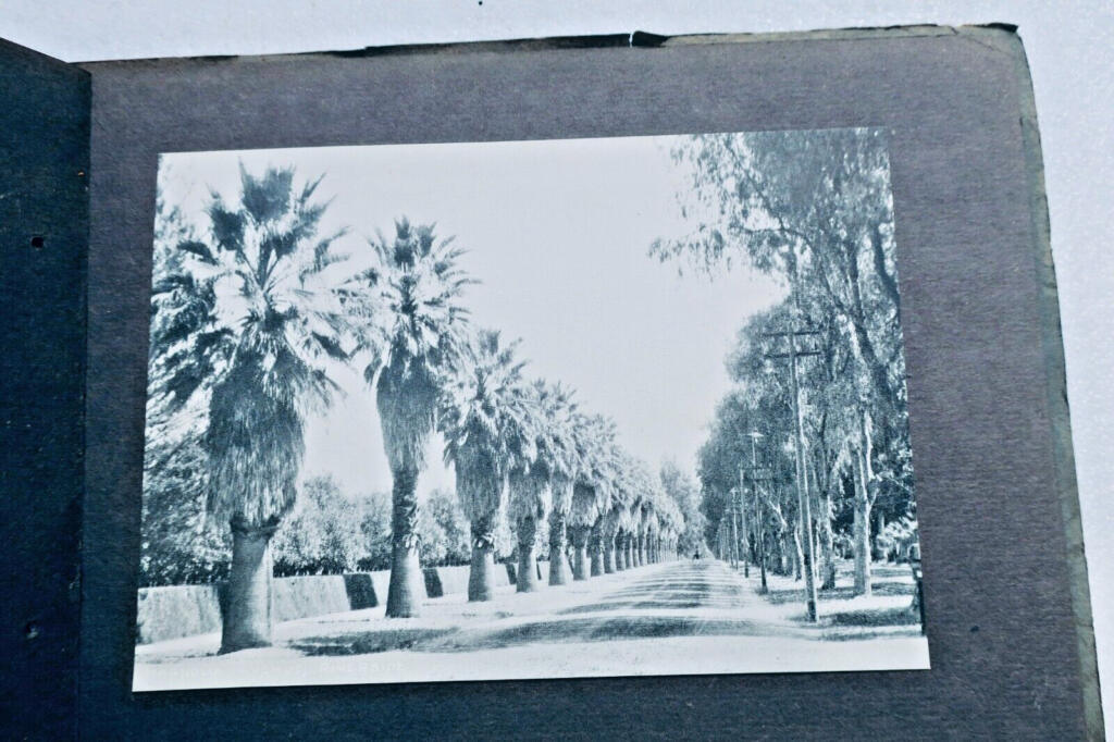 洛杉矶及南加州地区指南