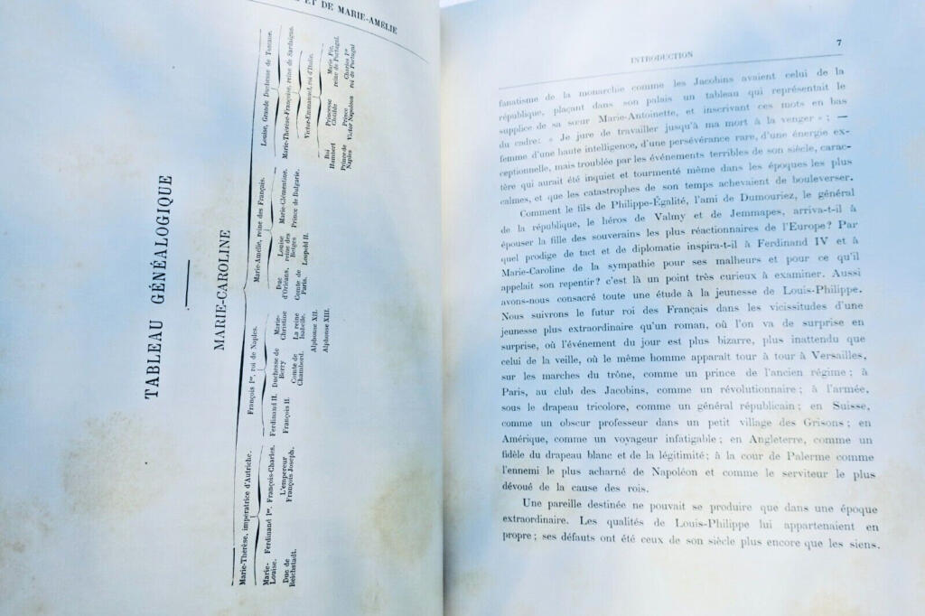 路易-菲利普与玛丽-阿梅利亚的青年时代