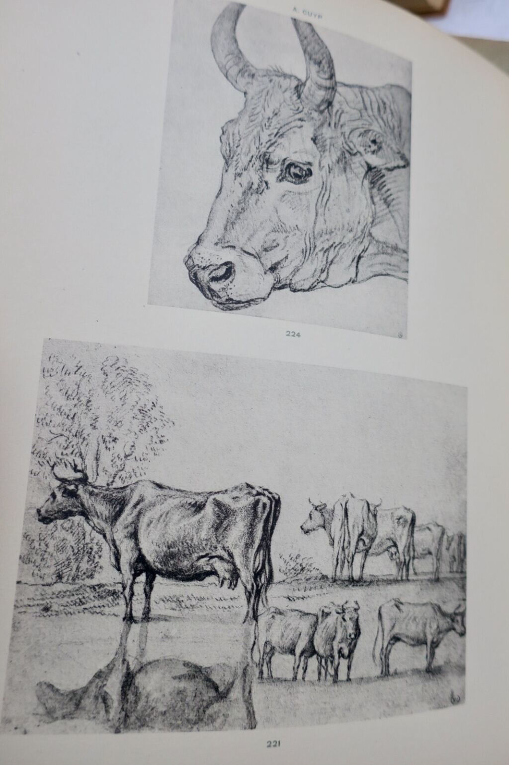 Comprehensive Inventory of Northern Drawings