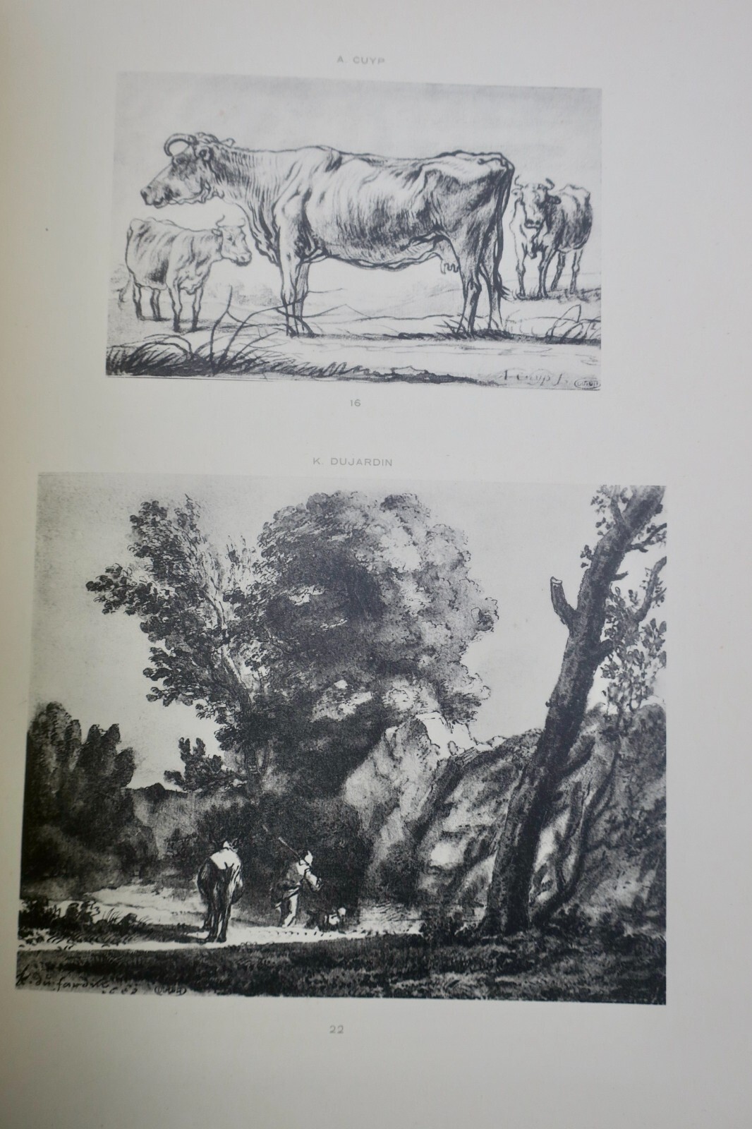 Drawings from Northern Schools - Image 8