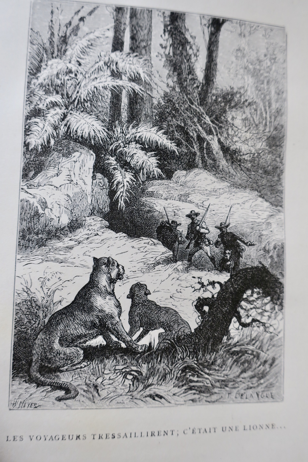Bildungs- und Freizeitbuch – Image 6