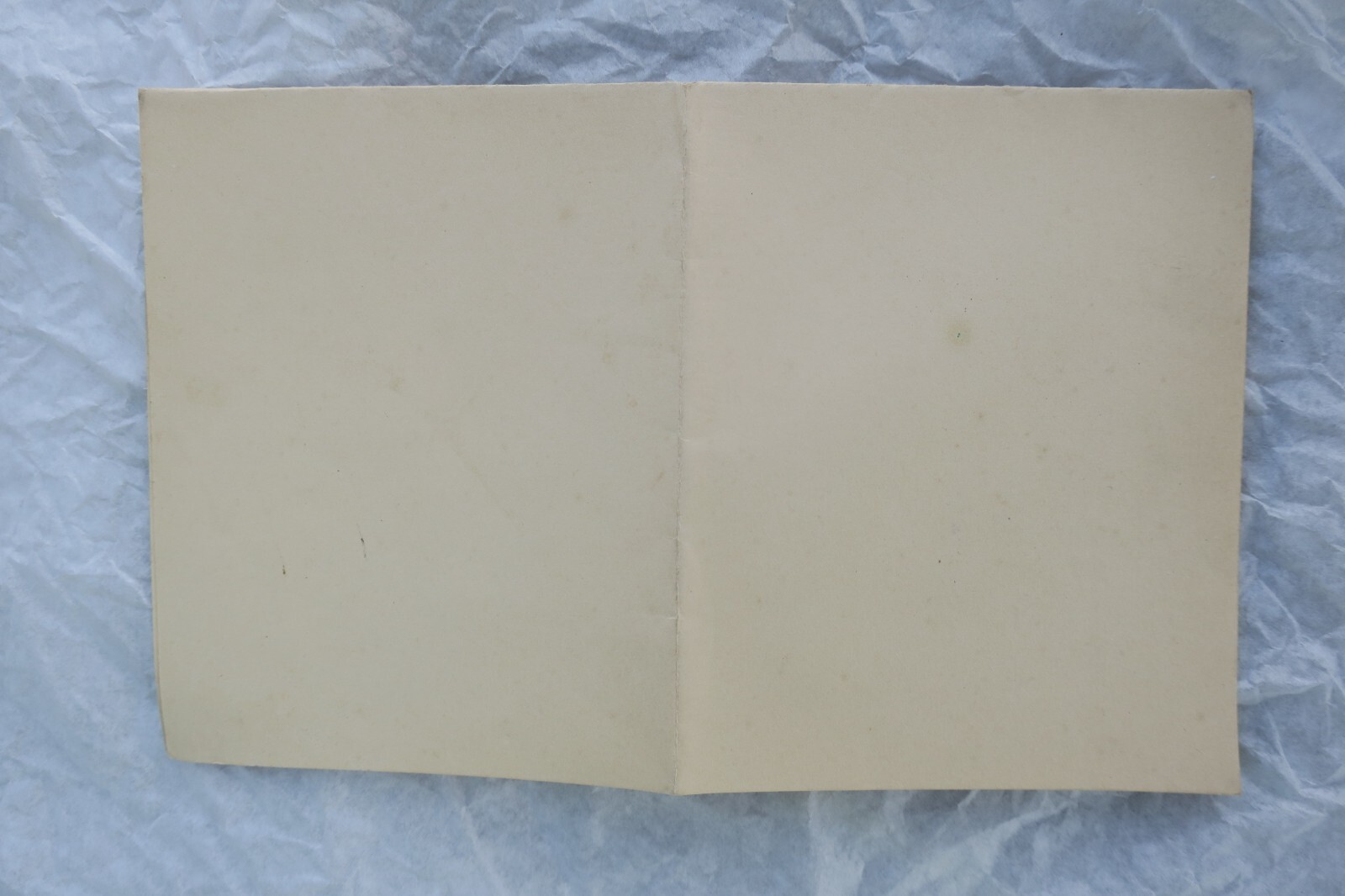 Beautiful signed autograph letter - Image 3
